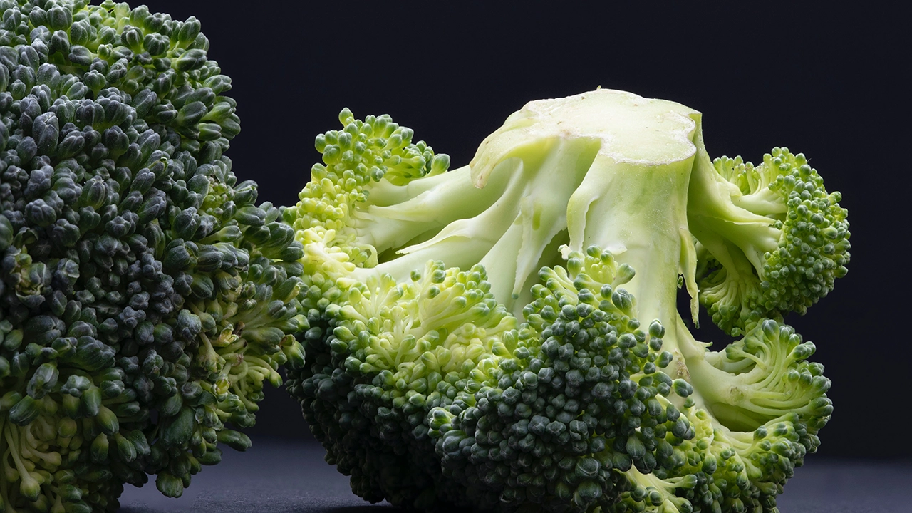 Todo lo que querías saber del Brócoli